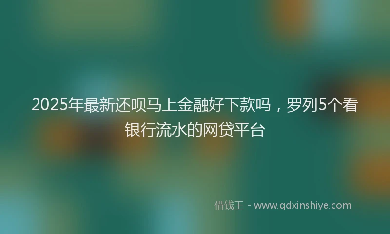2025年最新还呗马上金融好下款吗，罗列5个看银行流水的网贷平台