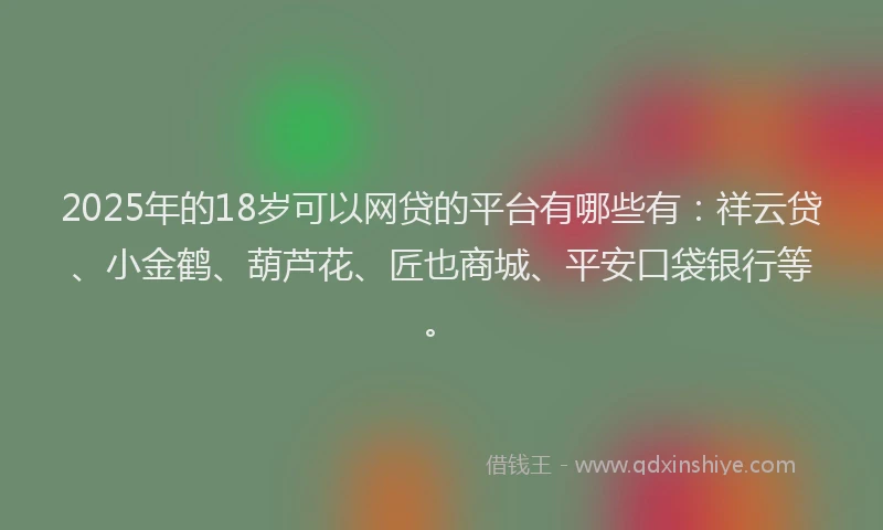 2025年的18岁可以网贷的平台有哪些有：祥云贷、小金鹤、葫芦花、匠也商城、平安口袋银行等。