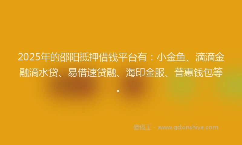 2025年的邵阳抵押借钱平台有：小金鱼、滴滴金融滴水贷、易借速贷融、海印金服、普惠钱包等。