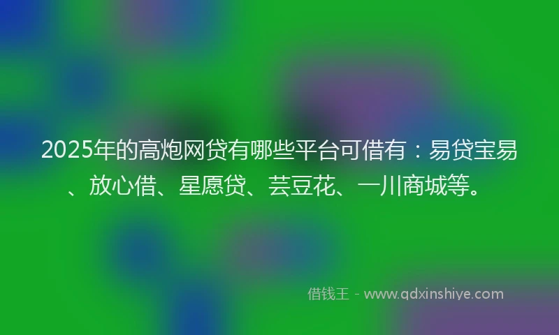 2025年的高炮网贷有哪些平台可借有：易贷宝易、放心借、星愿贷、芸豆花、一川商城等。