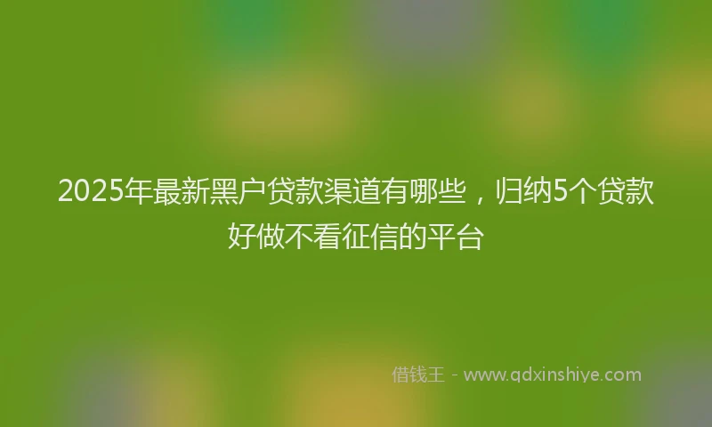 2025年最新黑户贷款渠道有哪些，归纳5个贷款好做不看征信的平台