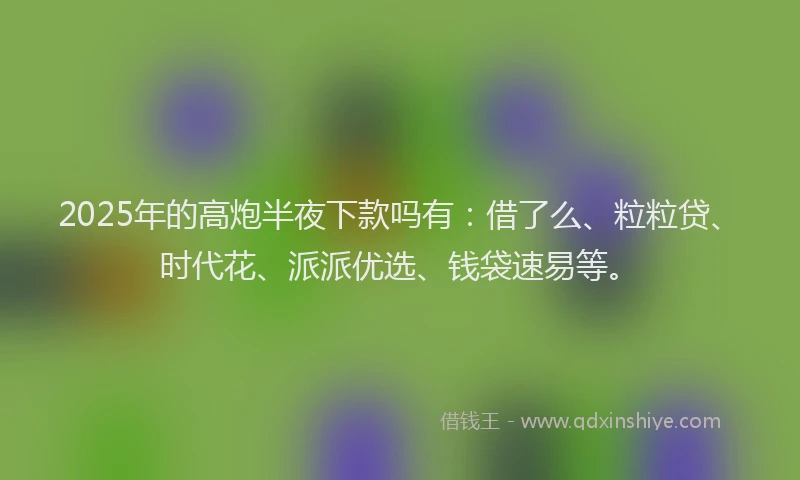 2025年的高炮半夜下款吗有：借了么、粒粒贷、时代花、派派优选、钱袋速易等。