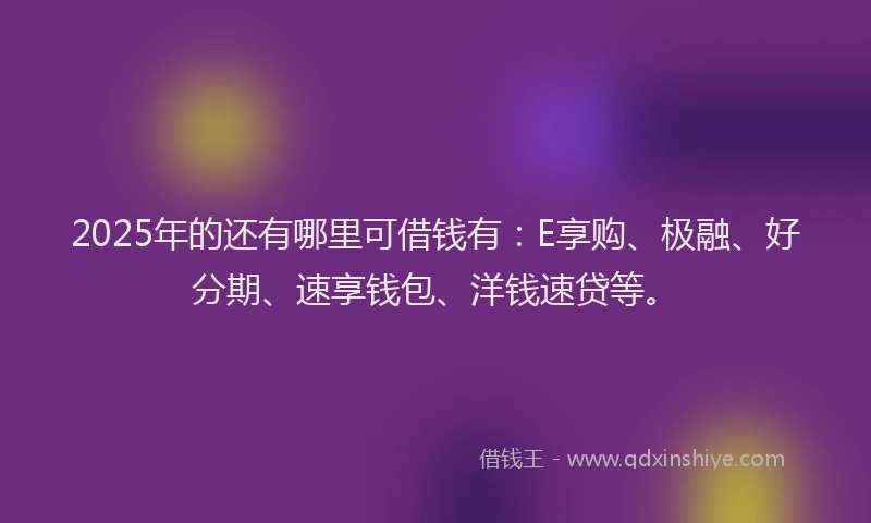 2025年的还有哪里可借钱有：E享购、极融、好分期、速享钱包、洋钱速贷等。