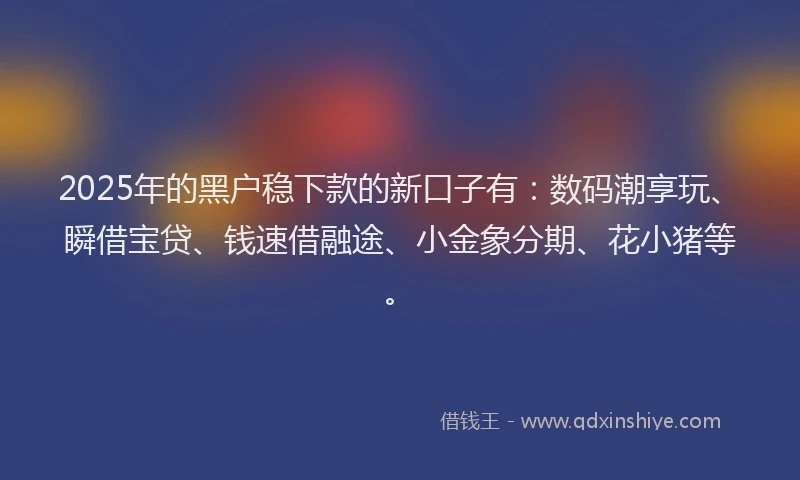 2025年的黑户稳下款的新口子有：数码潮享玩、瞬借宝贷、钱速借融途、小金象分期、花小猪等。