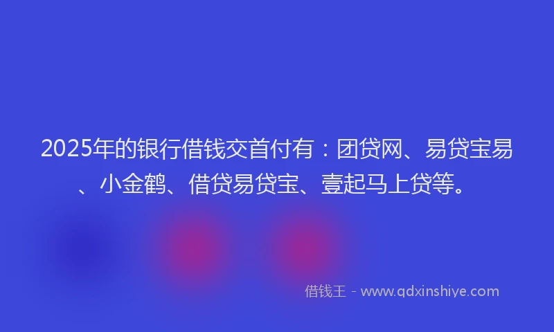 2025年的银行借钱交首付有：团贷网、易贷宝易、小金鹤、借贷易贷宝、壹起马上贷等。