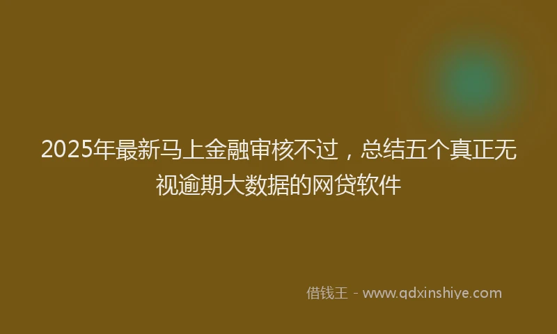 2025年最新马上金融审核不过，总结五个真正无视逾期大数据的网贷软件