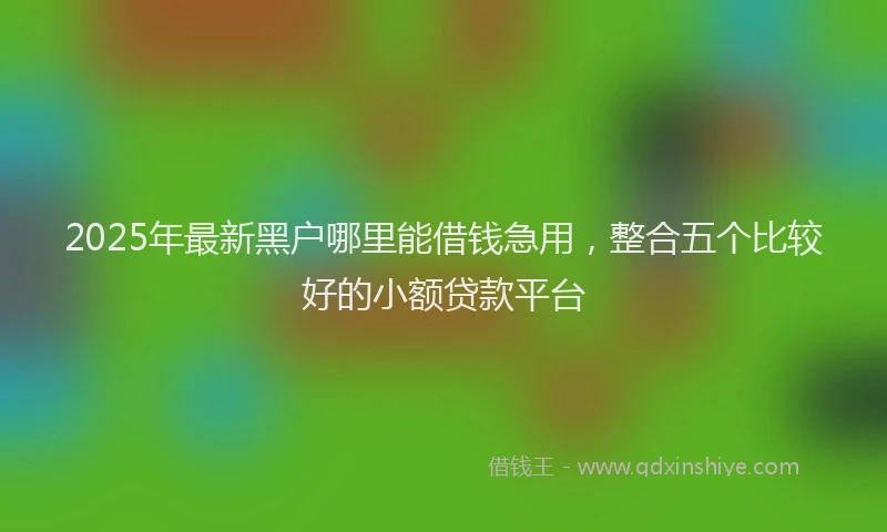 2025年最新黑户哪里能借钱急用，整合五个比较好的小额贷款平台