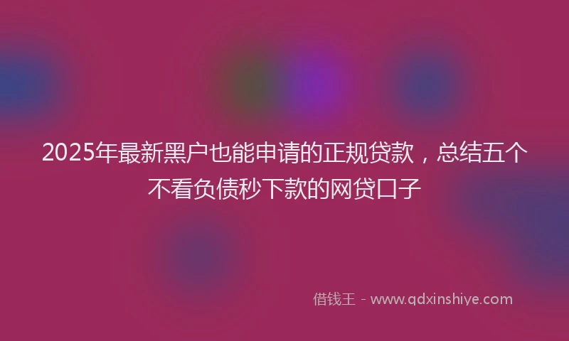 2025年最新黑户也能申请的正规贷款，总结五个不看负债秒下款的网贷口子