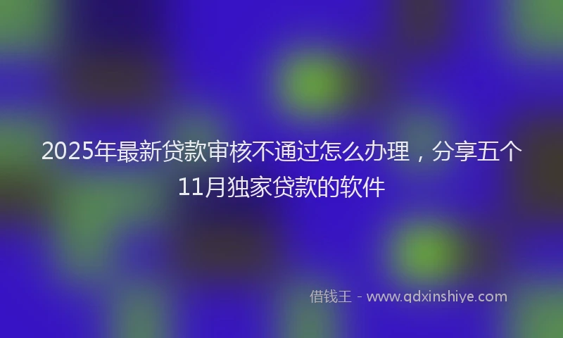 2025年最新贷款审核不通过怎么办理，分享五个11月独家贷款的软件