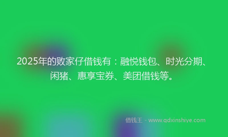2025年的败家仔借钱有：融悦钱包、时光分期、闲猪、惠享宝券、美团借钱等。