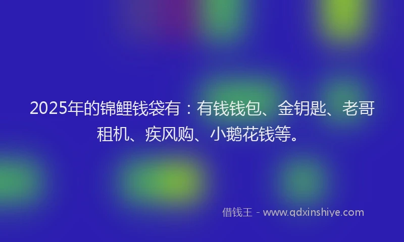 2025年的锦鲤钱袋有：有钱钱包、金钥匙、老哥租机、疾风购、小鹅花钱等。
