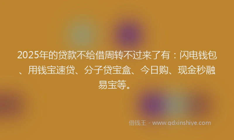 2025年的贷款不给借周转不过来了有：闪电钱包、用钱宝速贷、分子贷宝盒、今日购、现金秒融易宝等。