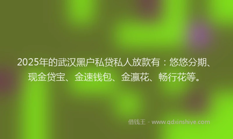 2025年的武汉黑户私贷私人放款有：悠悠分期、现金贷宝、金速钱包、金瀛花、畅行花等。