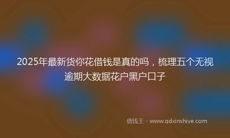 2025年最新货你花借钱是真的吗，梳理五个无视逾期大数据花户黑户口子