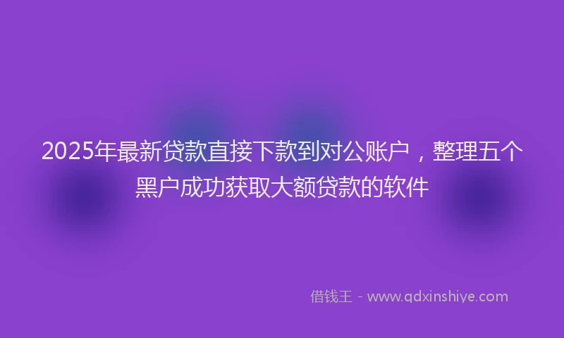 2025年最新贷款直接下款到对公账户，整理五个黑户成功获取大额贷款的软件