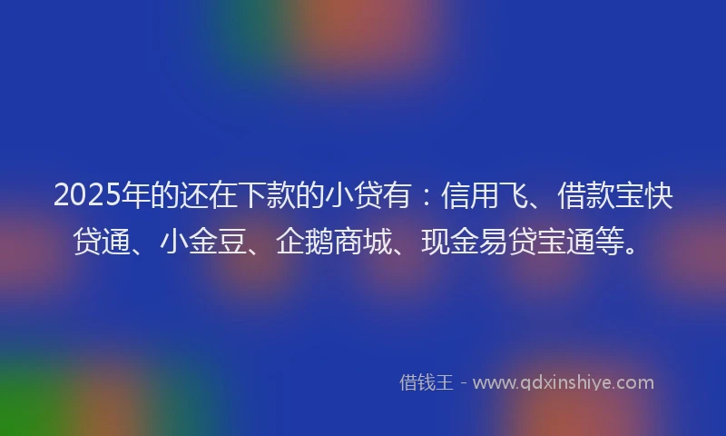 2025年的还在下款的小贷有：信用飞、借款宝快贷通、小金豆、企鹅商城、现金易贷宝通等。