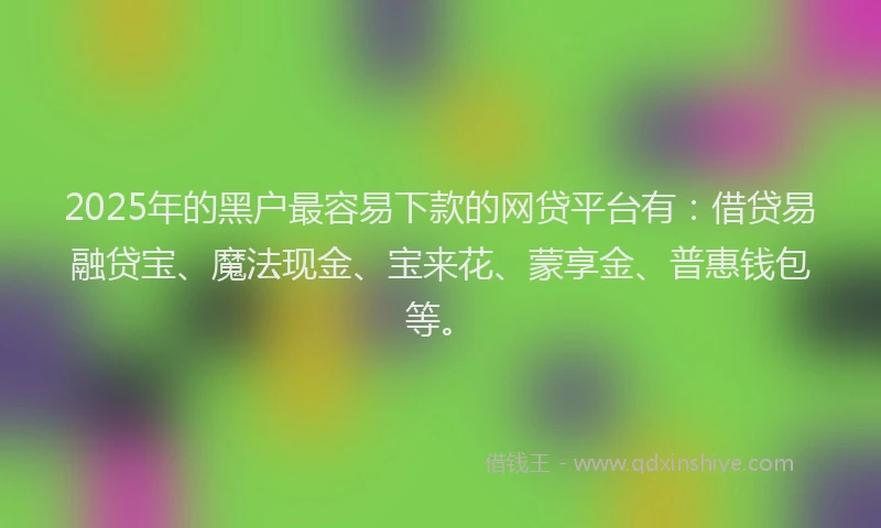 2025年的黑户最容易下款的网贷平台有：借贷易融贷宝、魔法现金、宝来花、蒙享金、普惠钱包等。