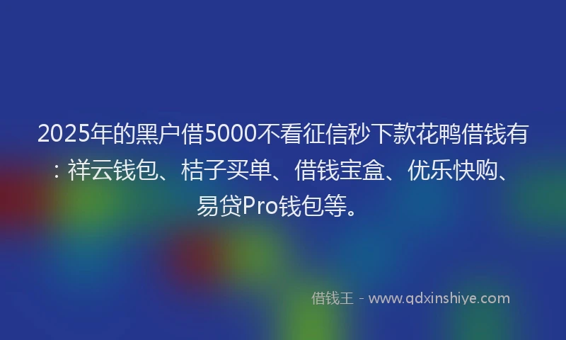 2025年的黑户借5000不看征信秒下款花鸭借钱有：祥云钱包、桔子买单、借钱宝盒、优乐快购、易贷Pro钱包等。