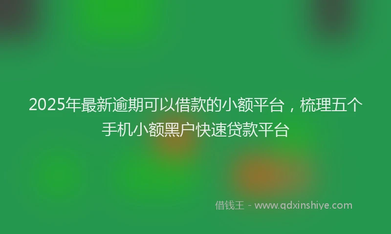 2025年最新逾期可以借款的小额平台，梳理五个手机小额黑户快速贷款平台