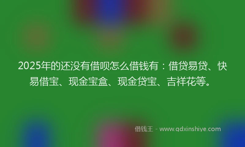 2025年的还没有借呗怎么借钱有：借贷易贷、快易借宝、现金宝盒、现金贷宝、吉祥花等。