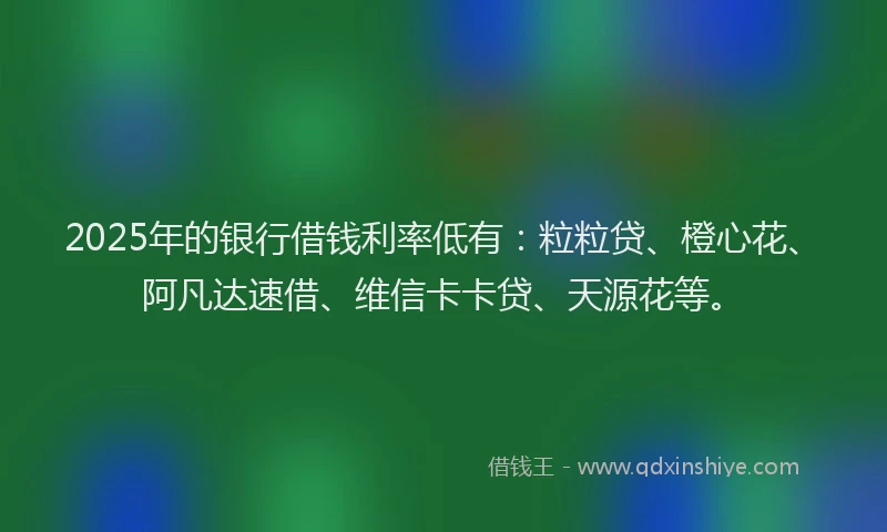 2025年的银行借钱利率低有：粒粒贷、橙心花、阿凡达速借、维信卡卡贷、天源花等。