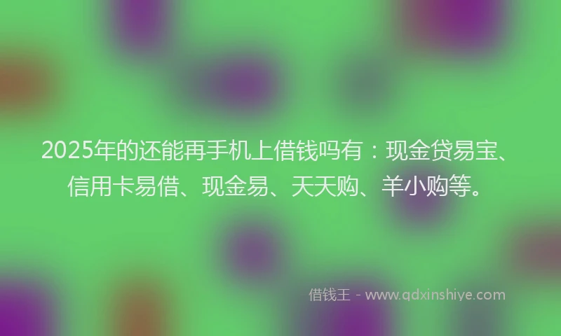 2025年的还能再手机上借钱吗有：现金贷易宝、信用卡易借、现金易、天天购、羊小购等。