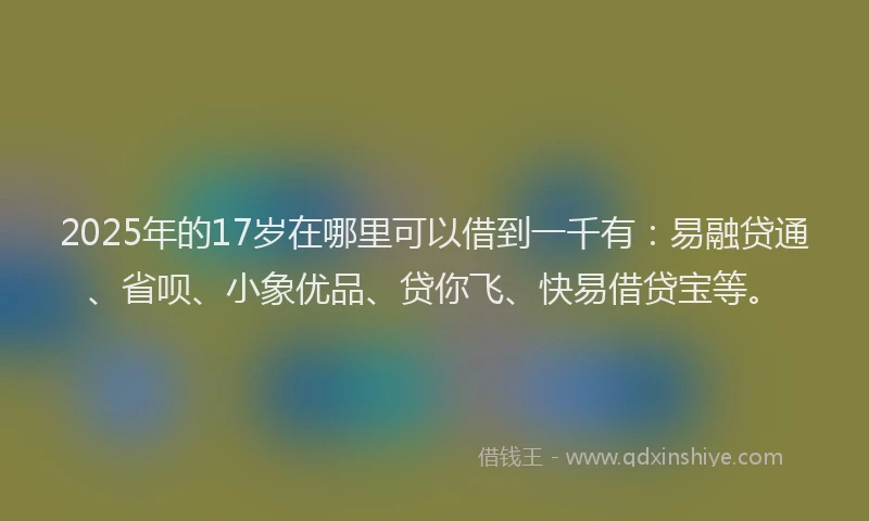 2025年的17岁在哪里可以借到一千有：易融贷通、省呗、小象优品、贷你飞、快易借贷宝等。