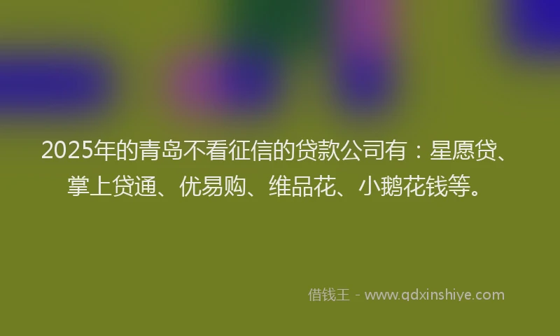 2025年的青岛不看征信的贷款公司有：星愿贷、掌上贷通、优易购、维品花、小鹅花钱等。