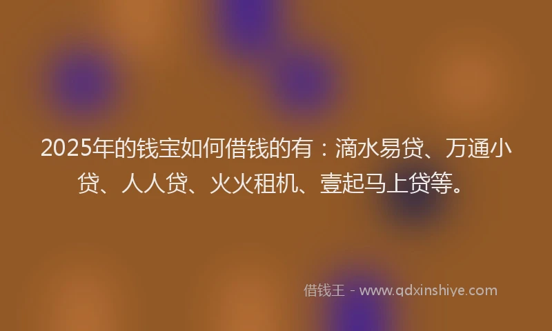 2025年的钱宝如何借钱的有：滴水易贷、万通小贷、人人贷、火火租机、壹起马上贷等。