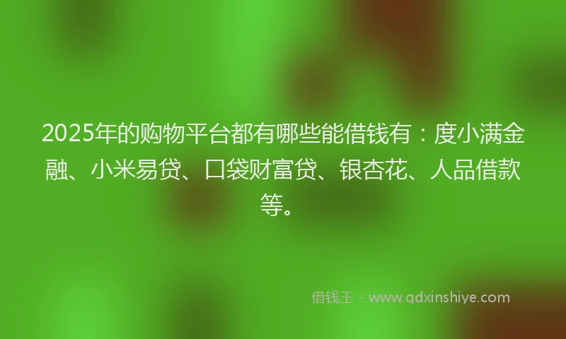 2025年的购物平台都有哪些能借钱有：度小满金融、小米易贷、口袋财富贷、银杏花、人品借款等。