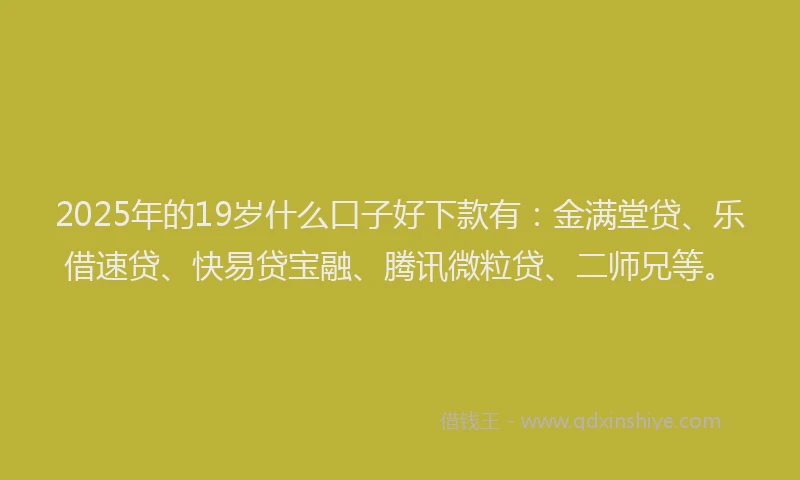 2025年的19岁什么口子好下款有：金满堂贷、乐借速贷、快易贷宝融、腾讯微粒贷、二师兄等。
