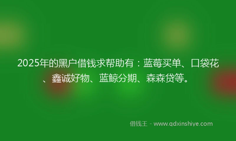 2025年的黑户借钱求帮助有：蓝莓买单、口袋花、鑫诚好物、蓝鲸分期、森森贷等。