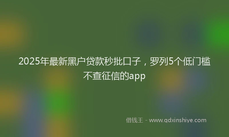 2025年最新黑户贷款秒批口子，罗列5个低门槛不查征信的app