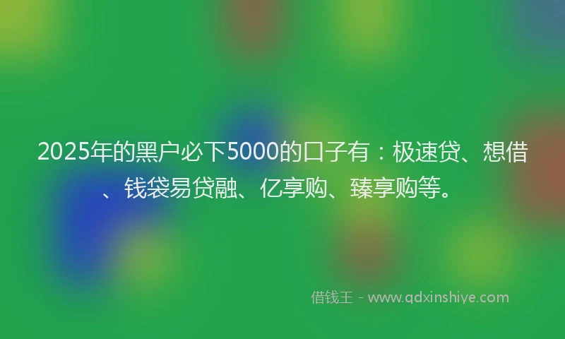 2025年的黑户必下5000的口子有：极速贷、想借、钱袋易贷融、亿享购、臻享购等。