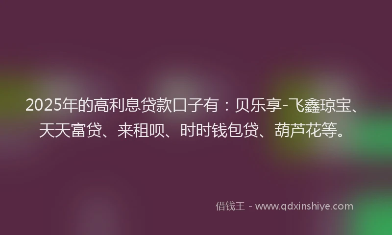 2025年的高利息贷款口子有：贝乐享-飞鑫琼宝、天天富贷、来租呗、时时钱包贷、葫芦花等。