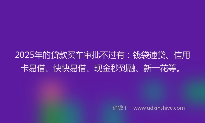 2025年的贷款买车审批不过有：钱袋速贷、信用卡易借、快快易借、现金秒到融、新一花等。