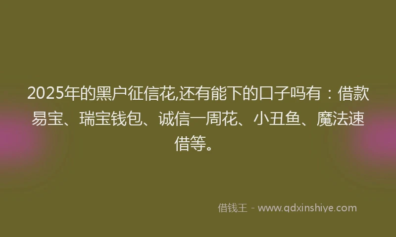 2025年的黑户征信花,还有能下的口子吗有：借款易宝、瑞宝钱包、诚信一周花、小丑鱼、魔法速借等。