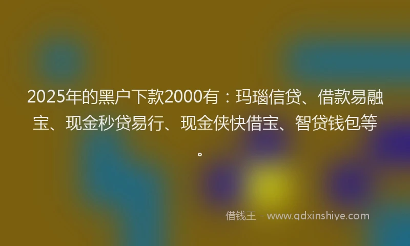 2025年的黑户下款2000有：玛瑙信贷、借款易融宝、现金秒贷易行、现金侠快借宝、智贷钱包等。