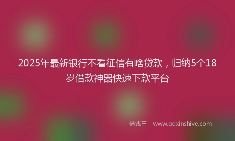 2025年最新银行不看征信有啥贷款，归纳5个18岁借款神器快速下款平台