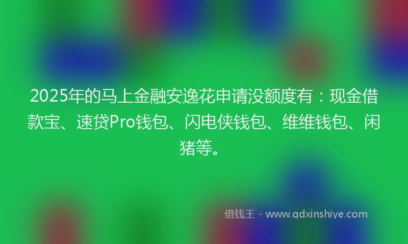 2025年的马上金融安逸花申请没额度有：现金借款宝、速贷Pro钱包、闪电侠钱包、维维钱包、闲猪等。