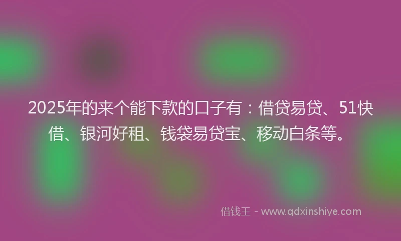 2025年的来个能下款的口子有：借贷易贷、51快借、银河好租、钱袋易贷宝、移动白条等。