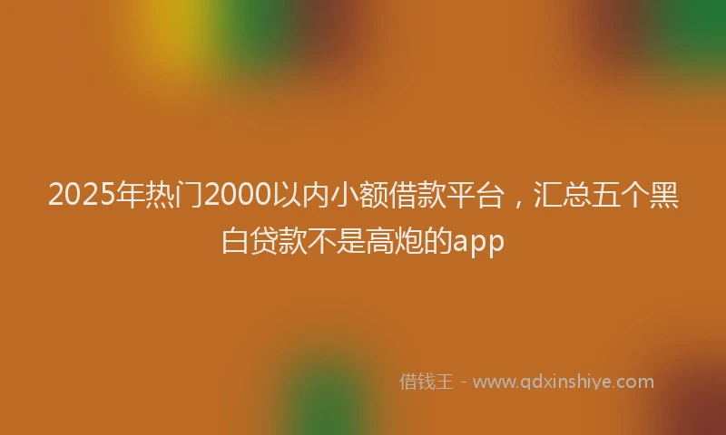 2025年热门2000以内小额借款平台，汇总五个黑白贷款不是高炮的app