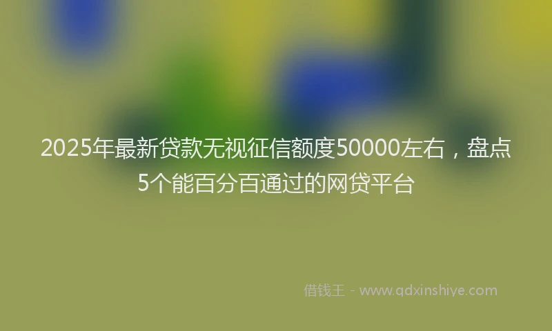 2025年最新贷款无视征信额度50000左右，盘点5个能百分百通过的网贷平台