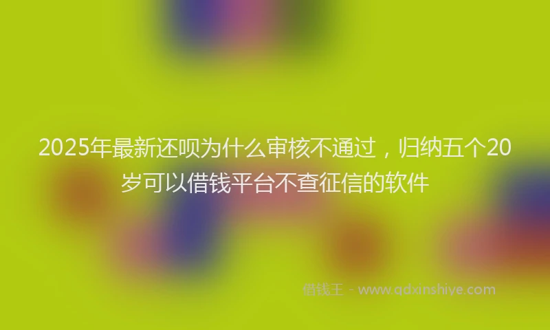 2025年最新还呗为什么审核不通过，归纳五个20岁可以借钱平台不查征信的软件