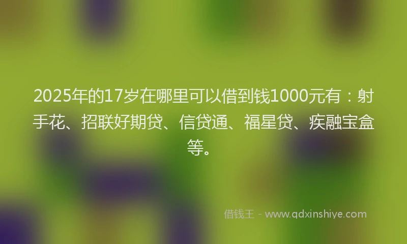 2025年的17岁在哪里可以借到钱1000元有：射手花、招联好期贷、信贷通、福星贷、疾融宝盒等。