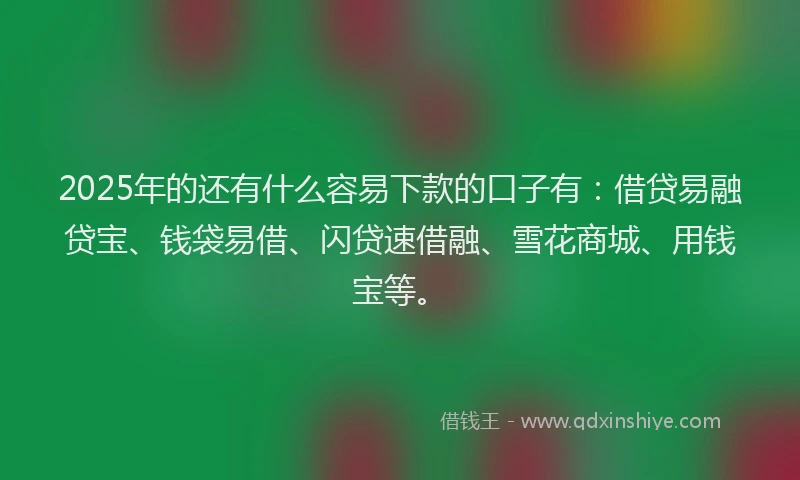 2025年的还有什么容易下款的口子有：借贷易融贷宝、钱袋易借、闪贷速借融、雪花商城、用钱宝等。