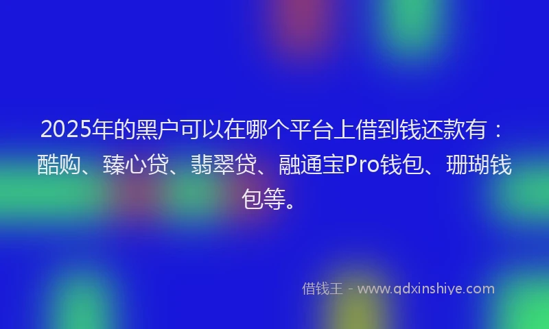 2025年的黑户可以在哪个平台上借到钱还款有：酷购、臻心贷、翡翠贷、融通宝Pro钱包、珊瑚钱包等。
