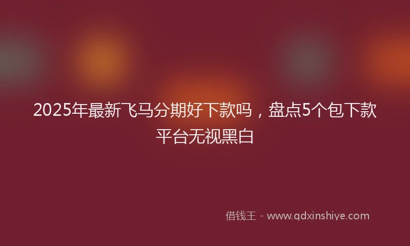 2025年最新飞马分期好下款吗，盘点5个包下款平台无视黑白