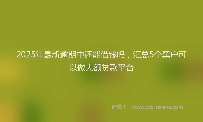 2025年最新逾期中还能借钱吗，汇总5个黑户可以做大额贷款平台