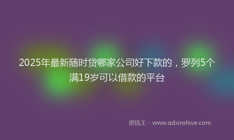 2025年最新随时贷哪家公司好下款的，罗列5个满19岁可以借款的平台
